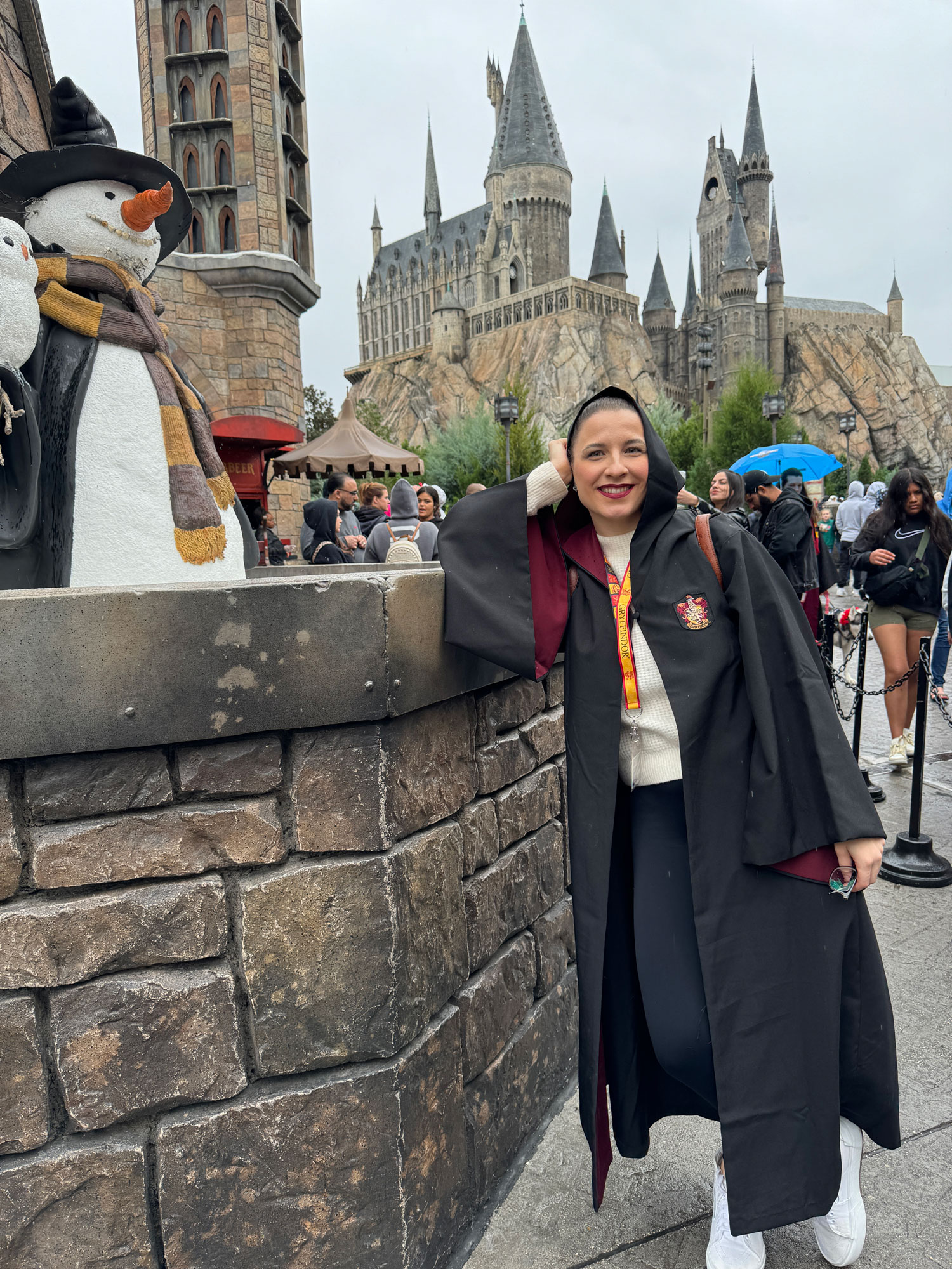 vee at wizarding world
